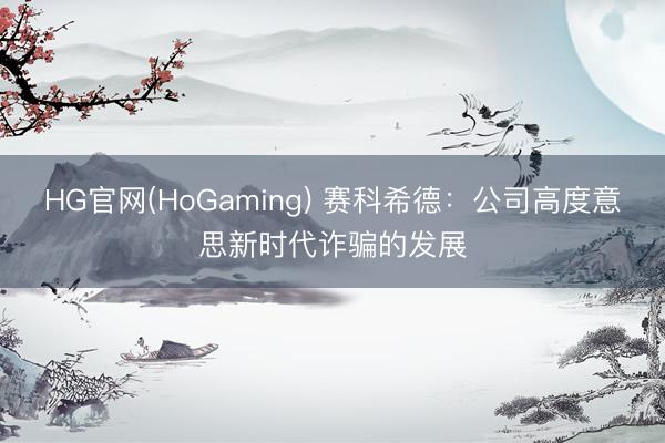 HG官网(HoGaming) 赛科希德：公司高度意思新时代诈